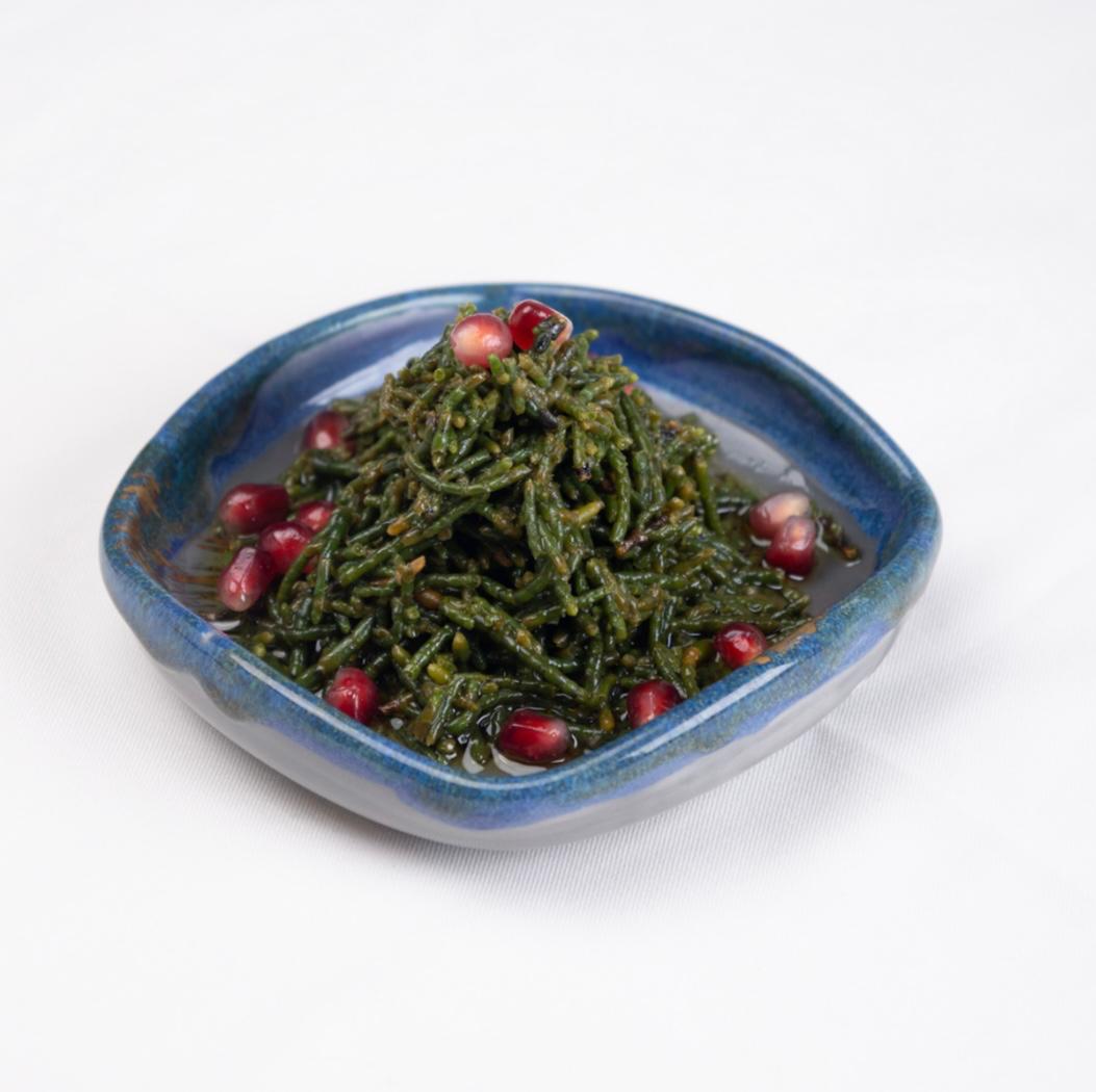 DENİZ BÖĞRÜLCESİ